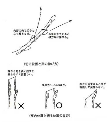 月刊otani 今月のエッセイ